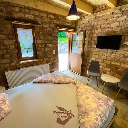 Holiday Park Hajducka Cesma Dubovsko Екстер'єр фото