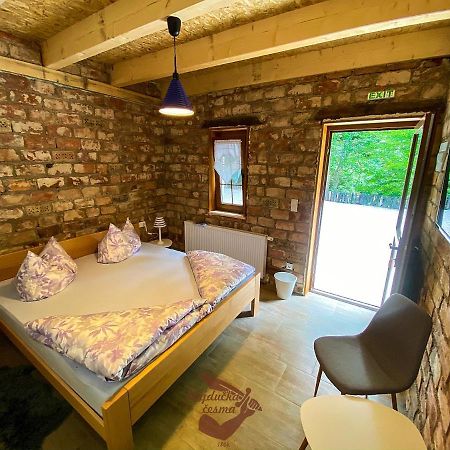 Holiday Park Hajducka Cesma Dubovsko Екстер'єр фото